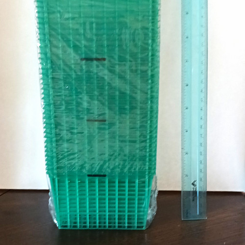 Green plastic pint berry - pint,